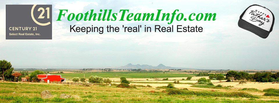 foothillsteaminfo.com