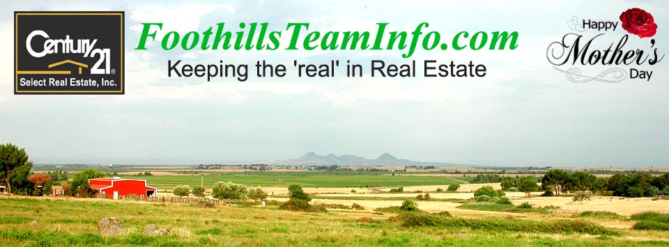 foothillsteaminfo.com